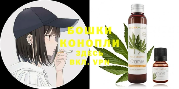 шишки Алексеевка