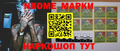 крисы Кулебаки