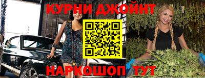 крисы Кулебаки