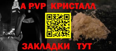крисы Кулебаки
