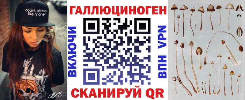 Галлюциногенные грибы MAGIC MUSHROOMS где купить наркоту кракен как войти Калининград