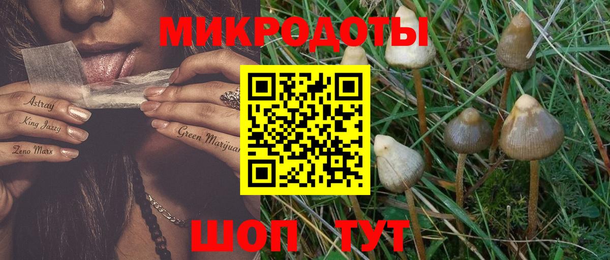 Галлюциногенные грибы Magic Shrooms  Вход с VPN  Галлюциногенные грибы мухоморы  Калининград 