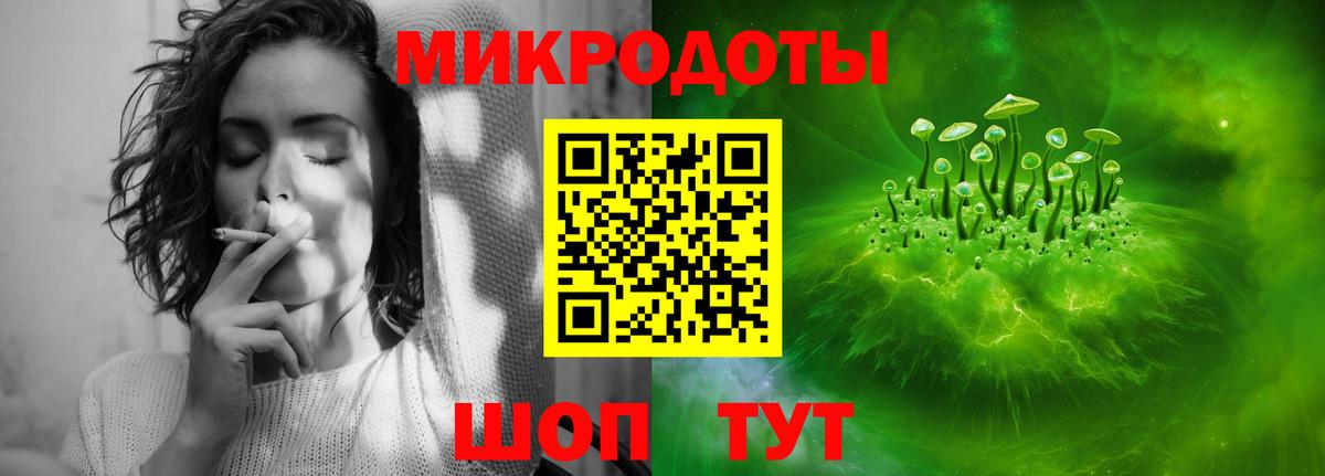 Псилоцибиновые грибы GOLDEN TEACHER Калининград
